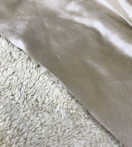 بوفالو پشت تدی کرم