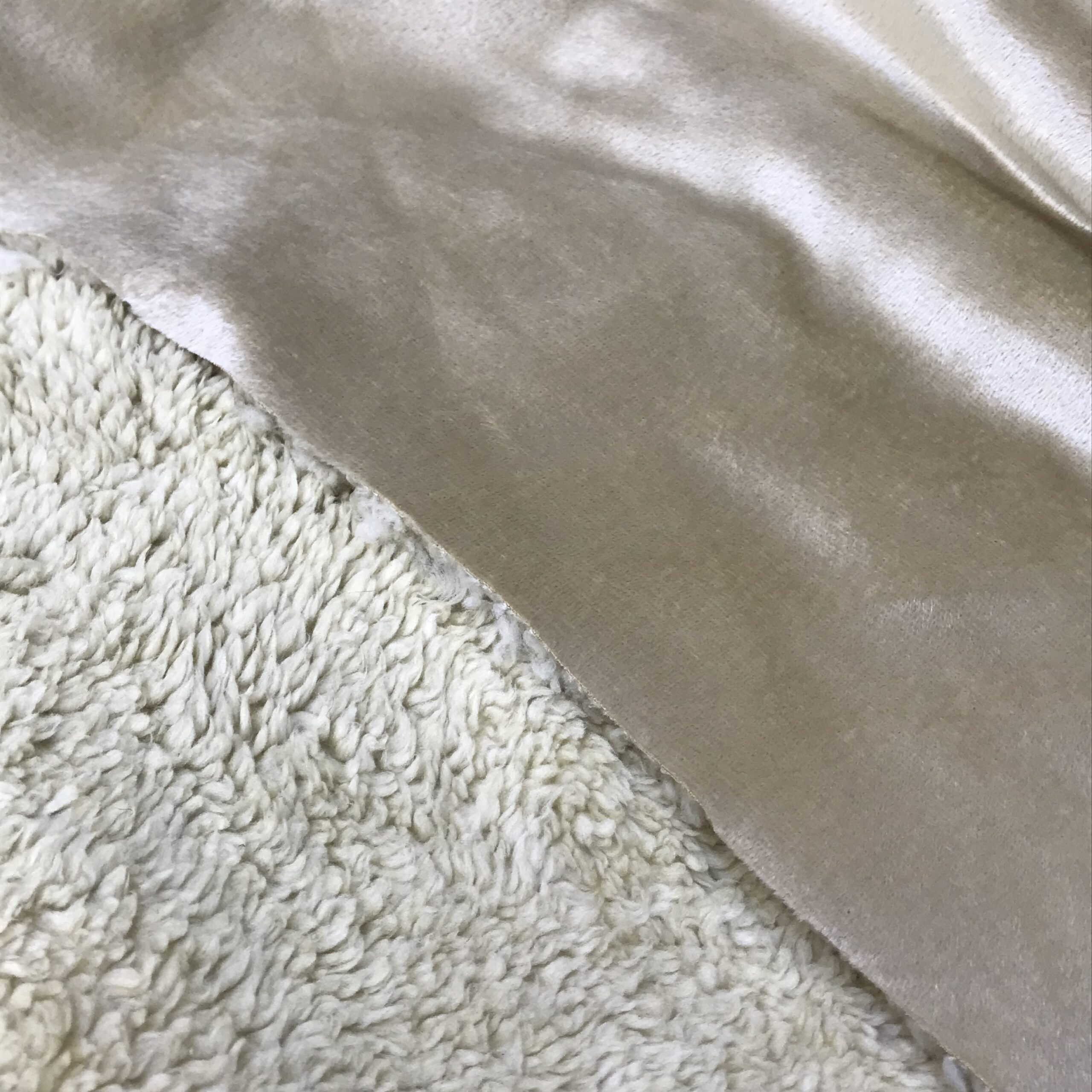 889CBA8E-6F44-4AFA-BB58-D4274A6EAFE6 بوفالو پشت تدی کرم